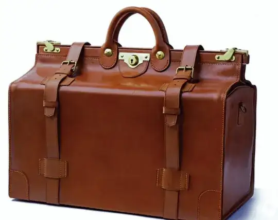 Foster & Sons Gladstone bag