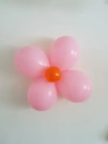 Balloon Flower on the wall