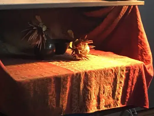 photograph of the reference still life