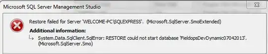 SSMS error message