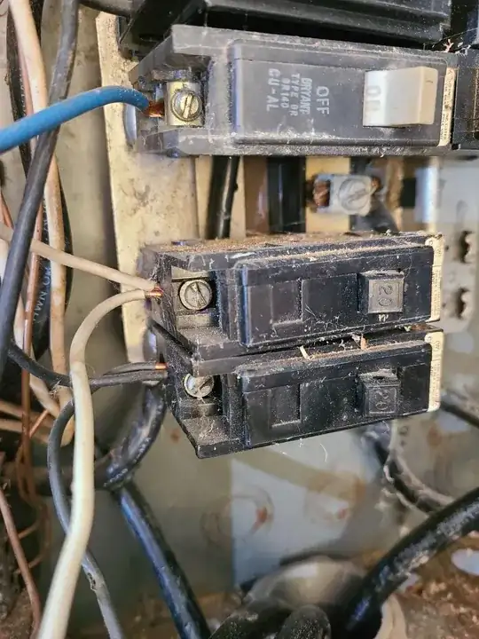 Picture of the wires in question