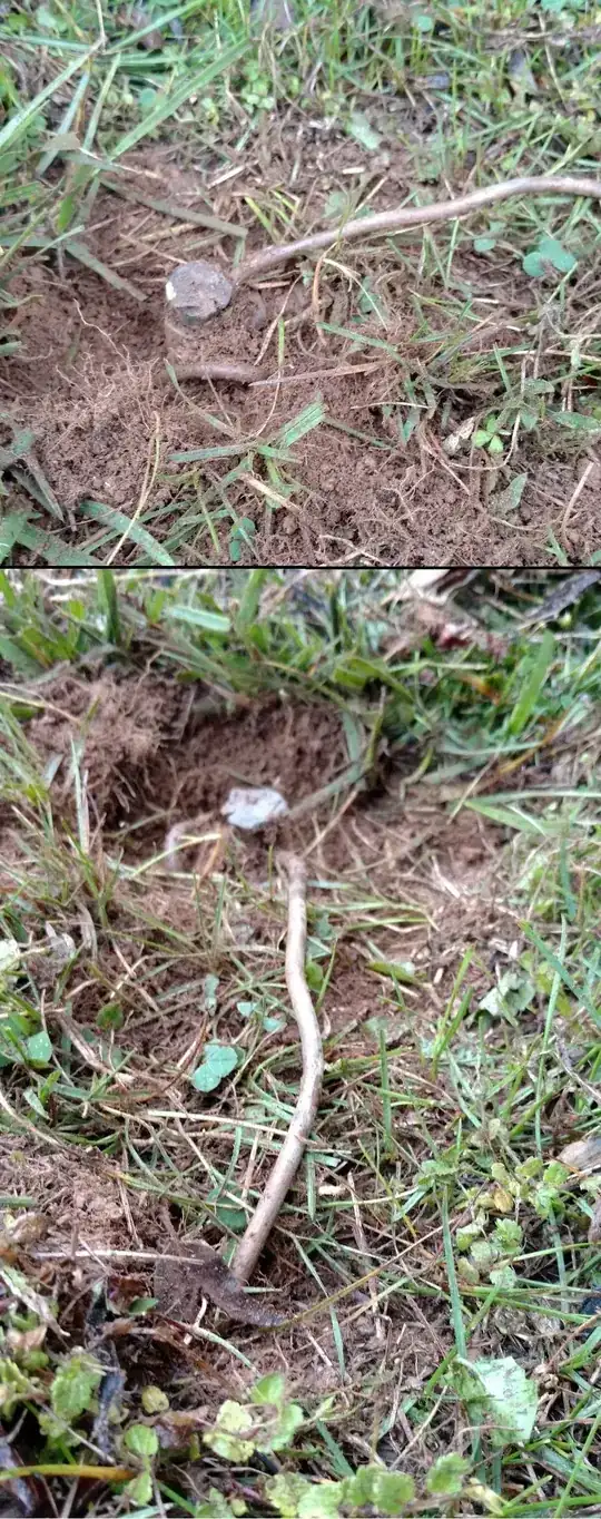 Stake with metal cord