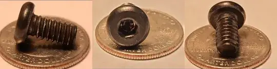 What kind of screw is this?