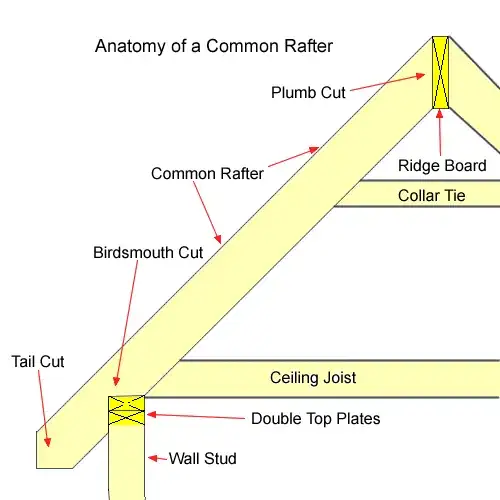 Anatomy of a common rafter