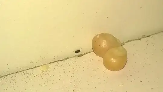 The two giant yellow things are popcorn kernels!