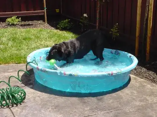 dog in wading pool