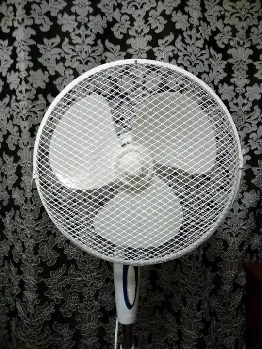 fan without ornament