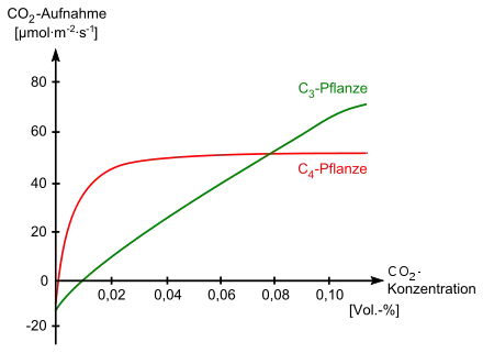 Co2-absorbtion by plants