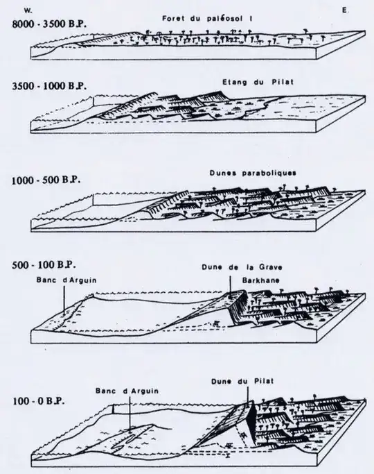 Evolution of the Dune since 8000 B.P.