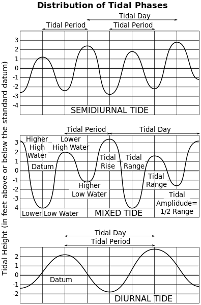 sketch of tide amplitudes