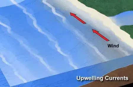 upwelling animation