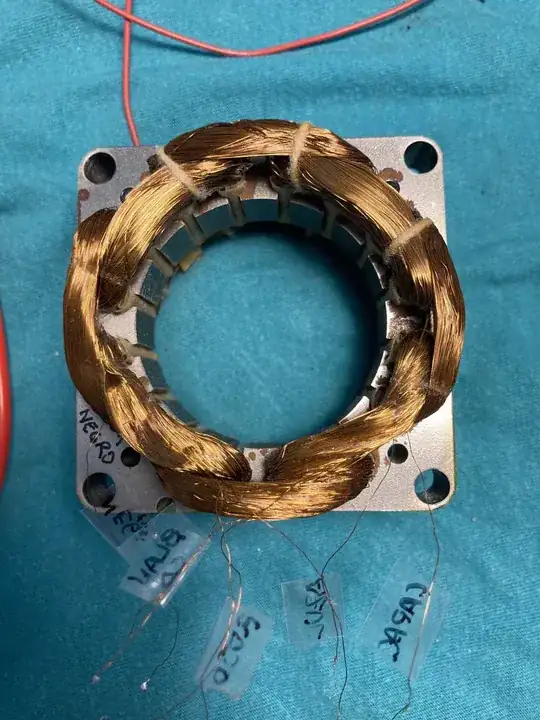 The 8 coils of the motor