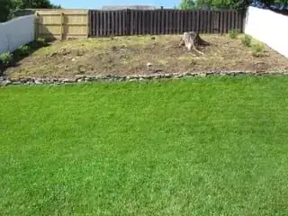 Planted garden area
