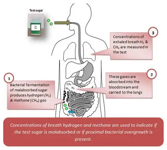 Hydrogen breath test