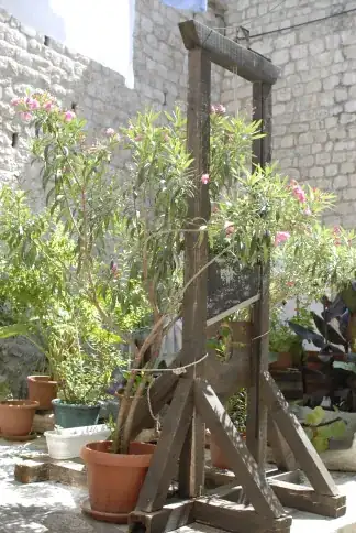 Cat garden in Dubrovnik