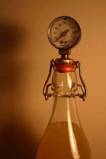 Flip-top bottle example