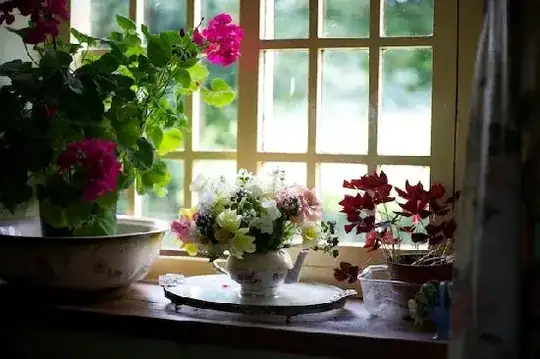 Image of different flowers put in flowerpots placed near a window