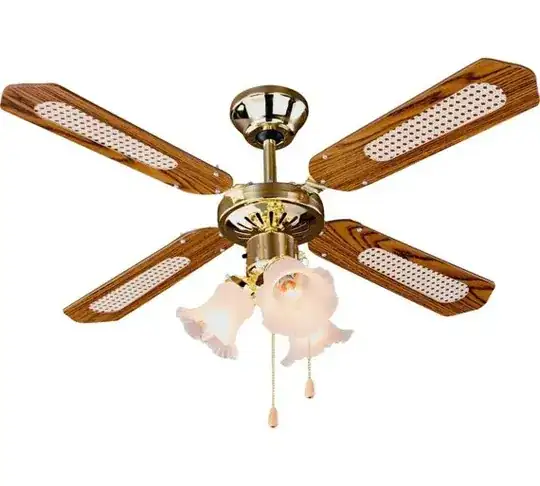 Ceiling fan with lights