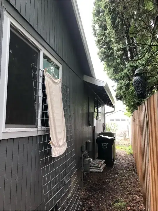 Current robin deterrent setup