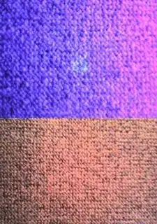 Semen stain on carpet observed with and without ultraviolet light