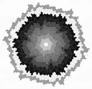 A partial tiling of the plane in the style of Heesch tiling, but with the new Monotile discovered and encircling a hexagonal hole.