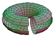 rectangle wrapped to torus