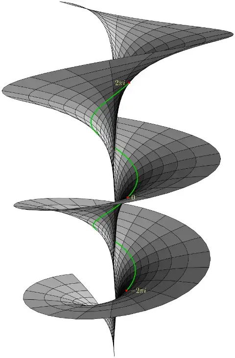The Riemann surface of log