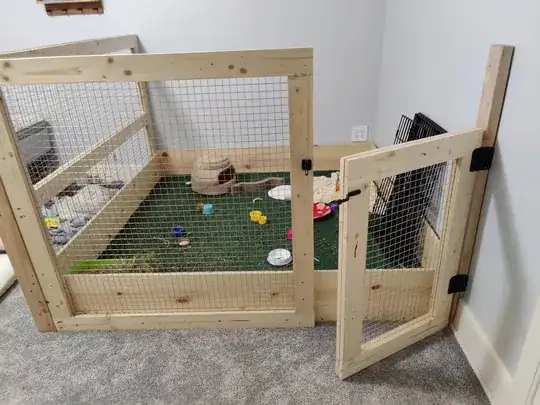 Luna's Room Completed