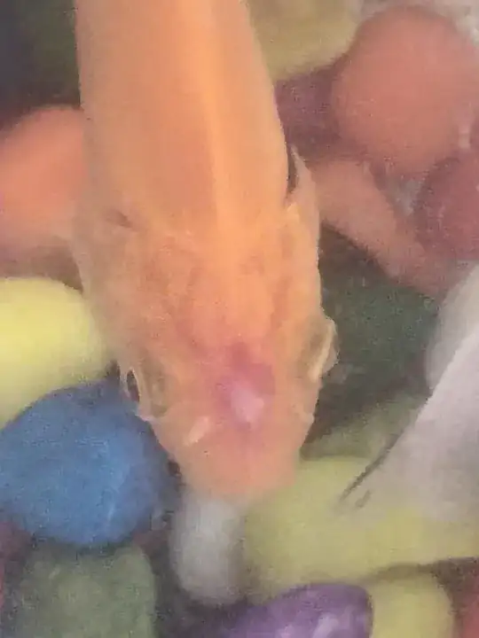 couldn't do anything