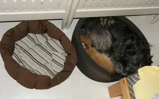 two dogs, one basket