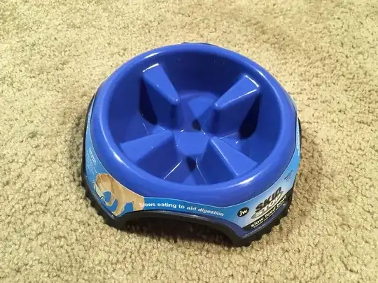 Slow feed dog bowl