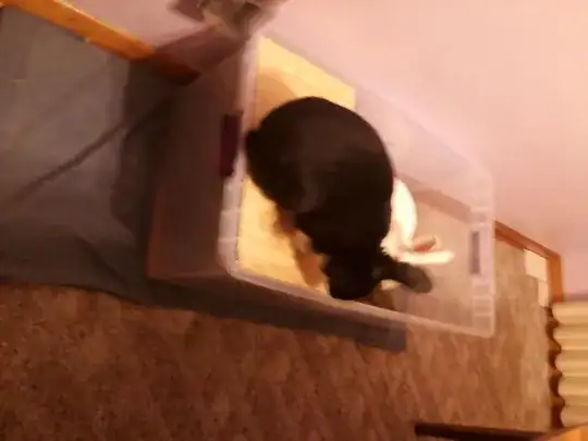 Harmony on the shelf 