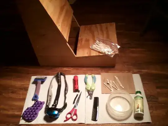 Traveling Grooming Kit