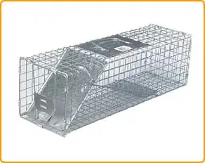 Live animal trap