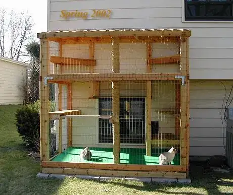 An outdoor cat enclosure