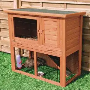 ![From BunnyHutchHQ.com]