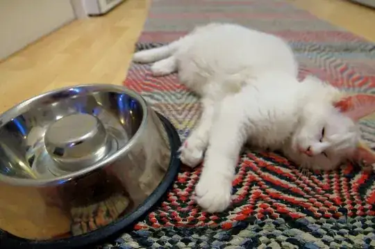 food bowl with a clump