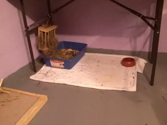 Bunny litter box, with hay, water bowl, towel and tray under all