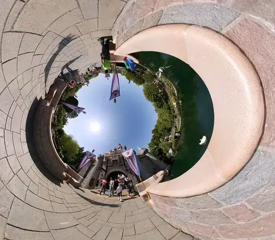 Tunnel Sleeping Beauty Castle