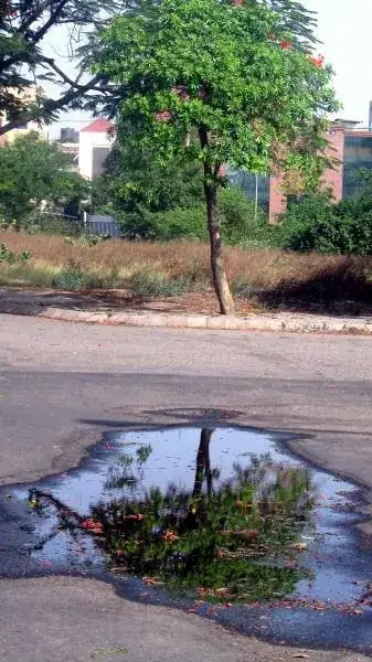 OP's sample picture + auto WB