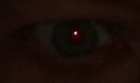 flash eye focused before flash