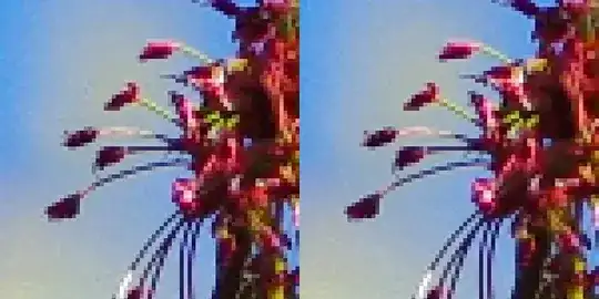 200% view of crop red