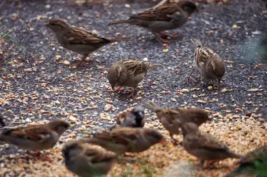 sample wide-field subject