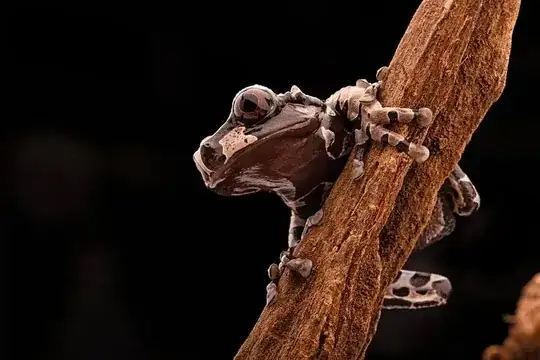 Stunning detail and color of wood grain, glossy appearance of the frog skin