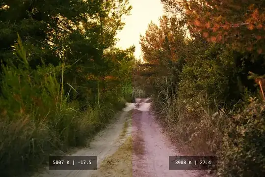 Composite of a "proper" WB (left) and the same picture with thrown-off WB (right).