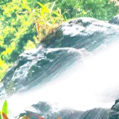 HEIC converted image crop