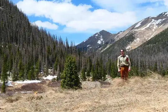 landscape with person in foreground