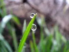 Couple after a fight