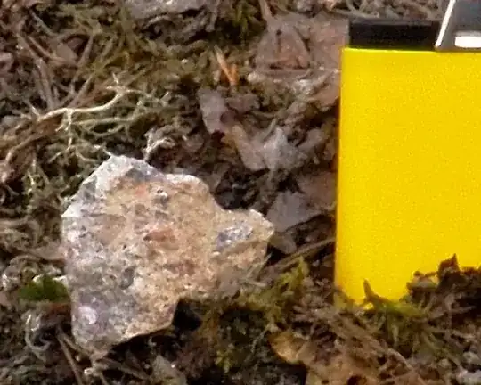 Olympus cropped to 120% pixel size