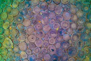 wide-angle color cast, enhanced saturation